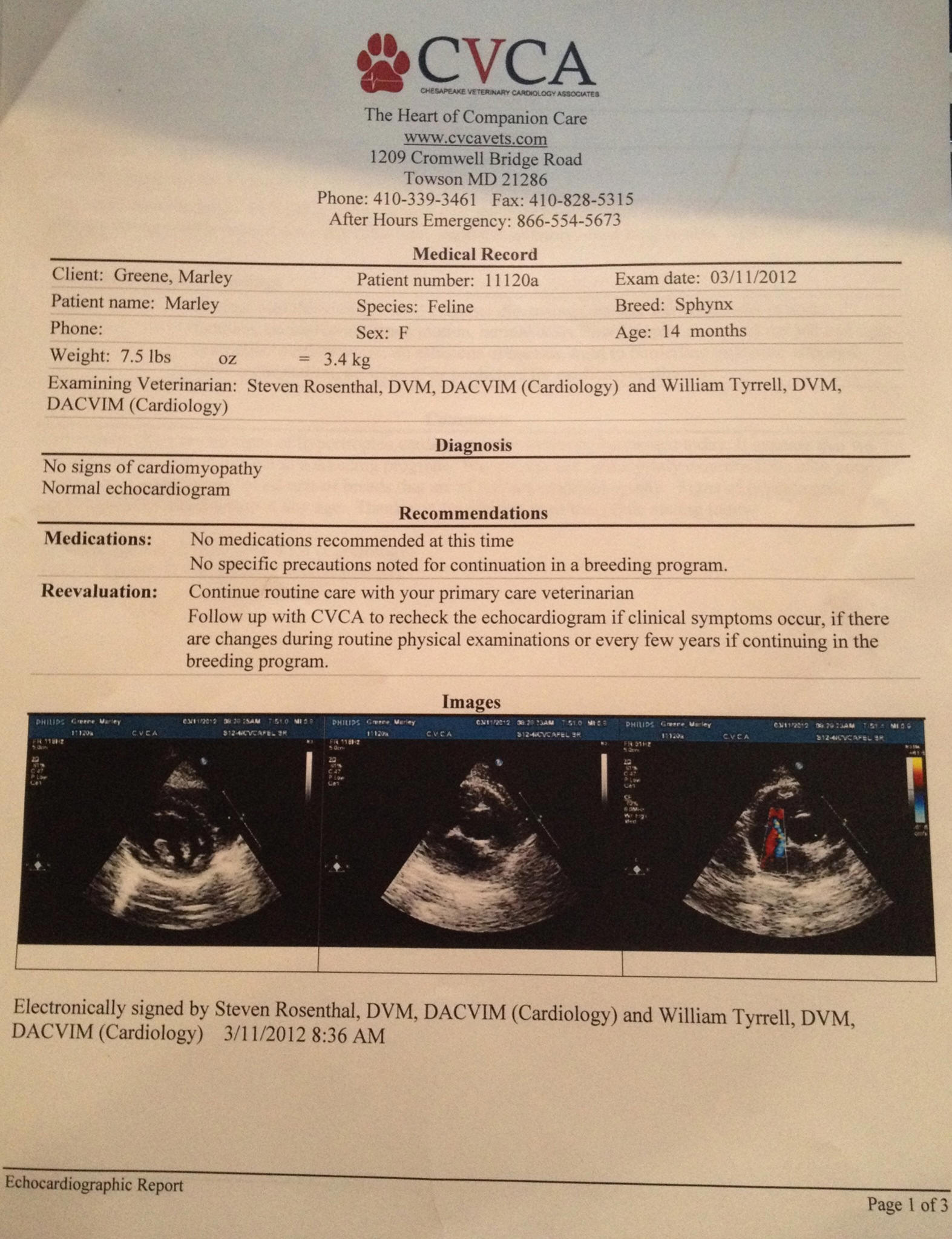 Marley HCM Heart Scan report